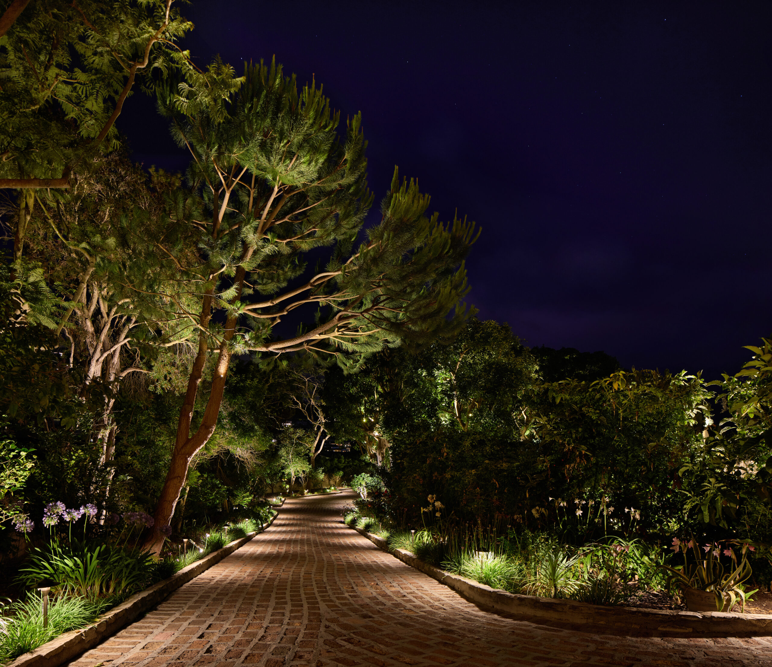 Path Lighting 1