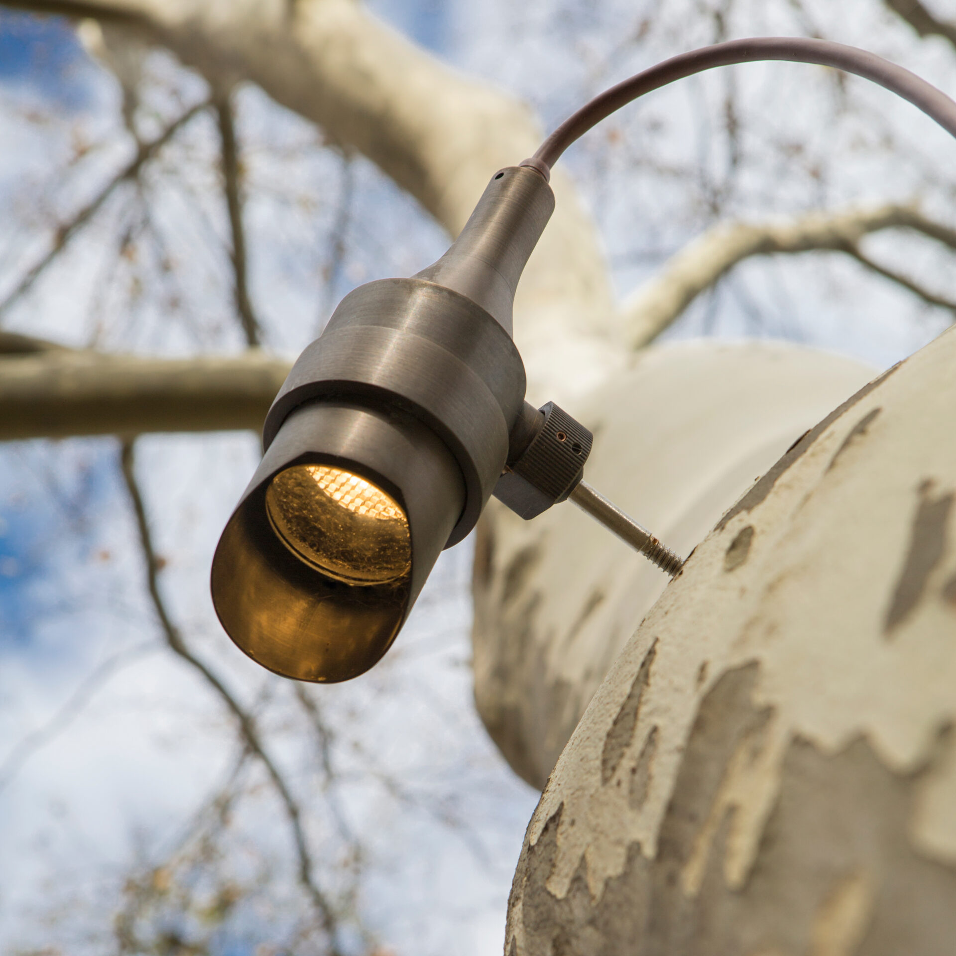 Canopy Lighting Related